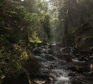 Wandern Luson / Lüsen