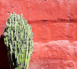 Santa Catalina Kloster