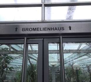 Tropicarium - Feuchte Tropen