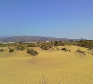Die Duenen von Maspalomas