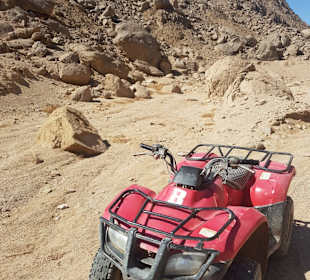 Quad Tour Abu Soma
