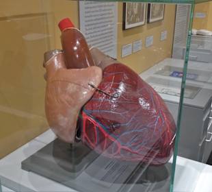 In der Abteilung Medizinstudium