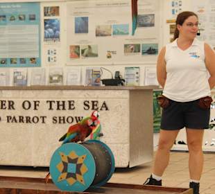 Parrot Show