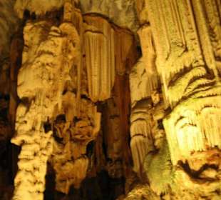 .. Wunder der Natur III