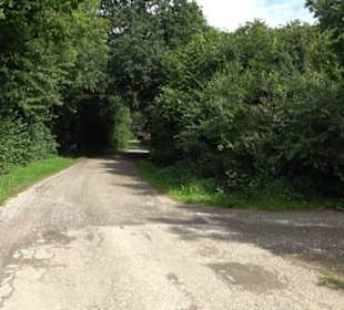 Themenweg Kaiserweg Zimmern