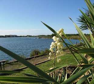 Lago von Hotel Bellvedere aus