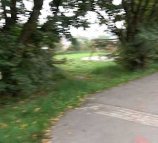 Gallorömischer Tempelbezirk