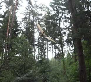 Dinosaurier Museum Altmühltal