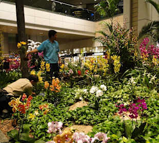 Changi Airport