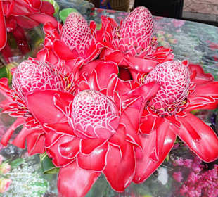 Rundgang über den Marché forain du Front de Mer