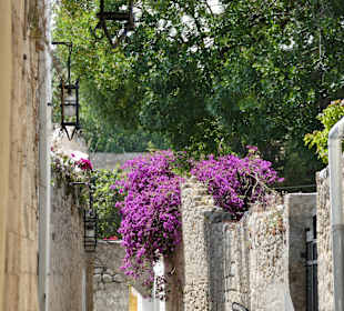 Altstadt Rhodos Stadt