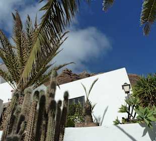 Casa Omar Sharif