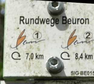 Rundweg Beuron 1