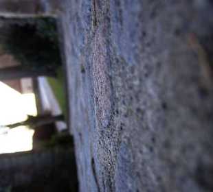 Pflaster Nahaufnahme