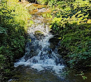 Rundwanderweg Baiersbronn