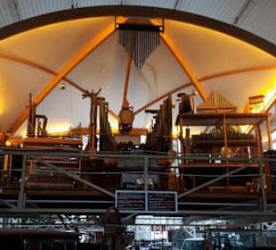 Orgel