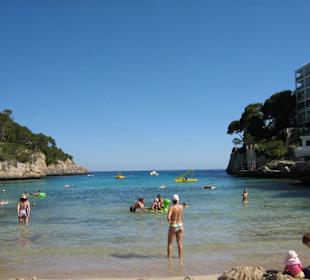 Strand