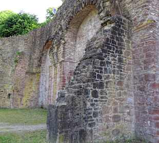 Schloss Heidelberg und Park