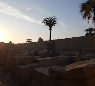 Tempelanlage in Luxor/Karnak