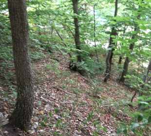 Tour entlang der Traifelbergfelsen