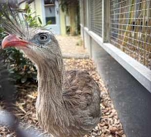 Irrland Bauernhof-Erlebnisoase