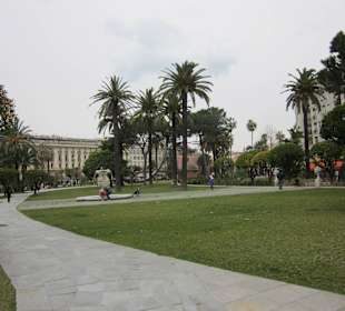 Garten-Jardin Albert