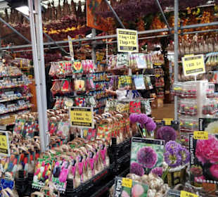 Amsterdam - Blumenmarkt