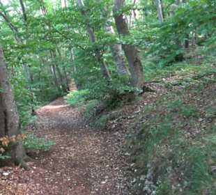 Tour entlang der Traifelbergfelsen