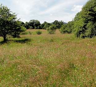 Impressionen aus dem Naturschutzgebiet