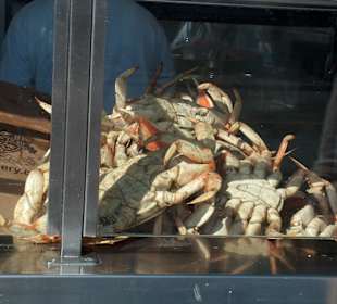 Granchi a Fisherman's Wharf