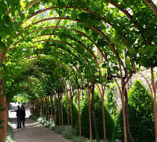 Weingut Marqués de Riscal