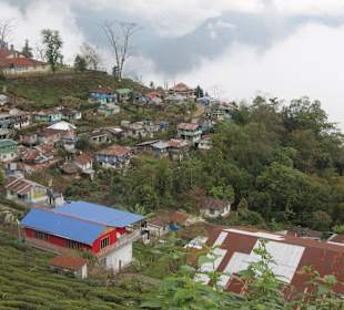 Teefabrik Puttabong Tea Estate