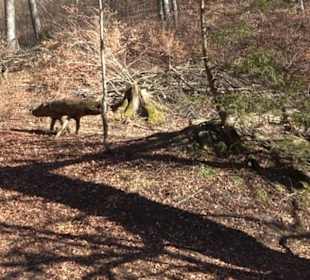 Naturerlebnispfad Meidelstetten