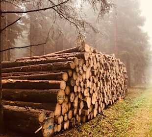 Wandern Rechenberg-Bienenmühle