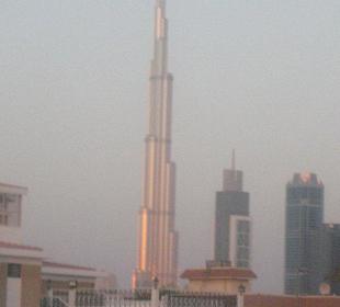 Leuchtet in der Abenddämmerung