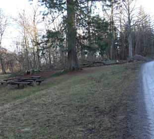 Ochsenweiher Rundweg