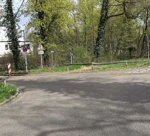 Schlossgarten Karlsruhe