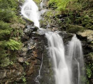 Wandern Todtnauberg 