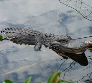 Cyprress National Preserve