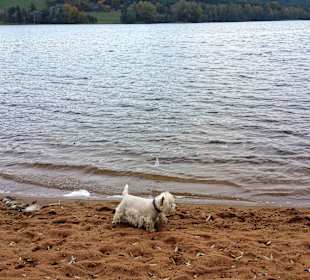 Im Sommer nicht erlaubt