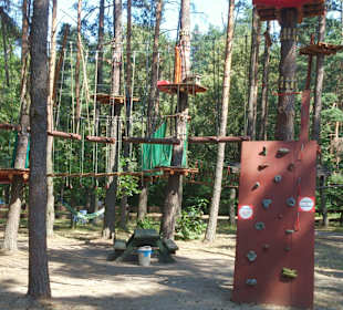 Park od środka