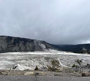 Yellowstone Nationalpark