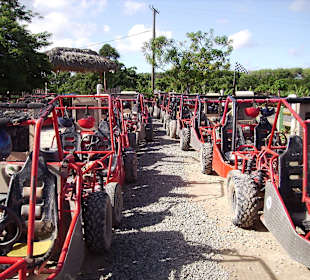 Buggys vor der Fahrt