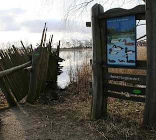 Beobachtungsposten am Teich