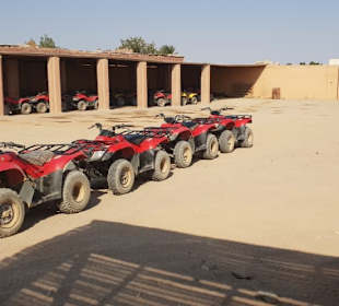 Quad-Tour