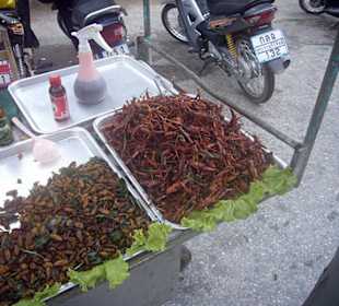 Auf dem Weg zum Wochenmarkt