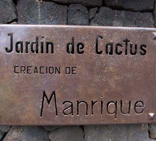 Jardin de Cactus