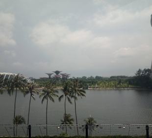 Marina Bay Sands... from Singapore Flyer