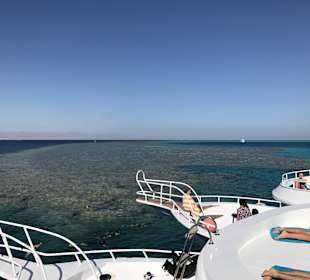 Ausflug Tiran Island