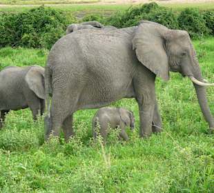 2-wöchiges Baby dabei